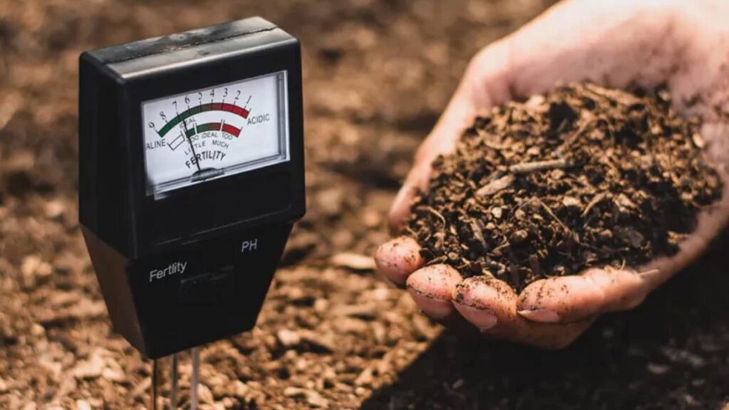 Over 25 Crore Soil Health Cards Distributed, Govt Releases ₹1,706 Crore for Farmers