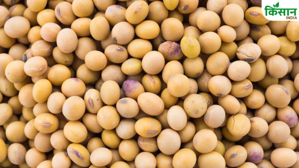 soybean price hike