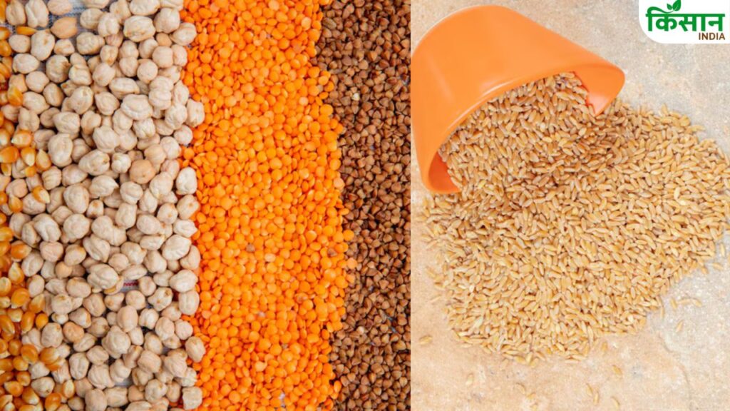 Latest Mandi Rate Rabi and Kharif Crop