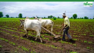ओडिशा सरकार ने पेश किया अनुपूरक बजट, खेती और खाद्य सुरक्षा पर खर्च होंगे 6019 करोड़ ओडिशा सरकार ने पेश किया अनुपूरक बजट, खेती और खाद्य सुरक्षा पर खर्च होंगे 6019 करोड़