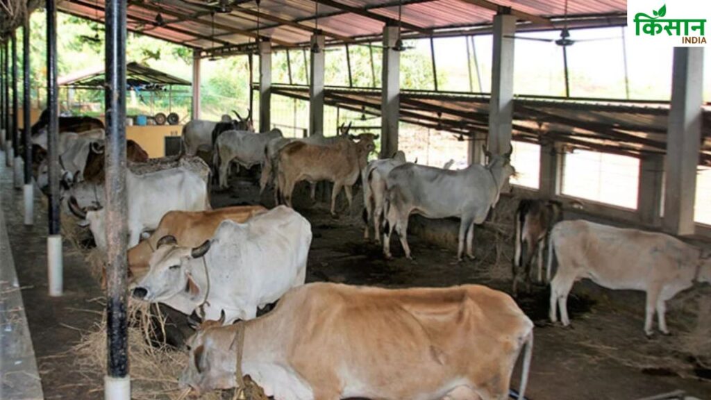 Rajasthan Animal Husbandry