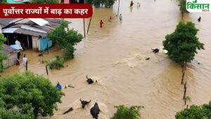 बारिश से 4 लाख लोग प्रभावित..764 गांव जलमग्न और मवेशी बहे, 3524 हेक्टेयर फसल चौपट