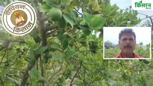 बेगूसराय के राजेश 5 एकड़ में कर रहे नींबू की खेती, सरकारी मदद से कमा रहे अच्छा मुनाफा