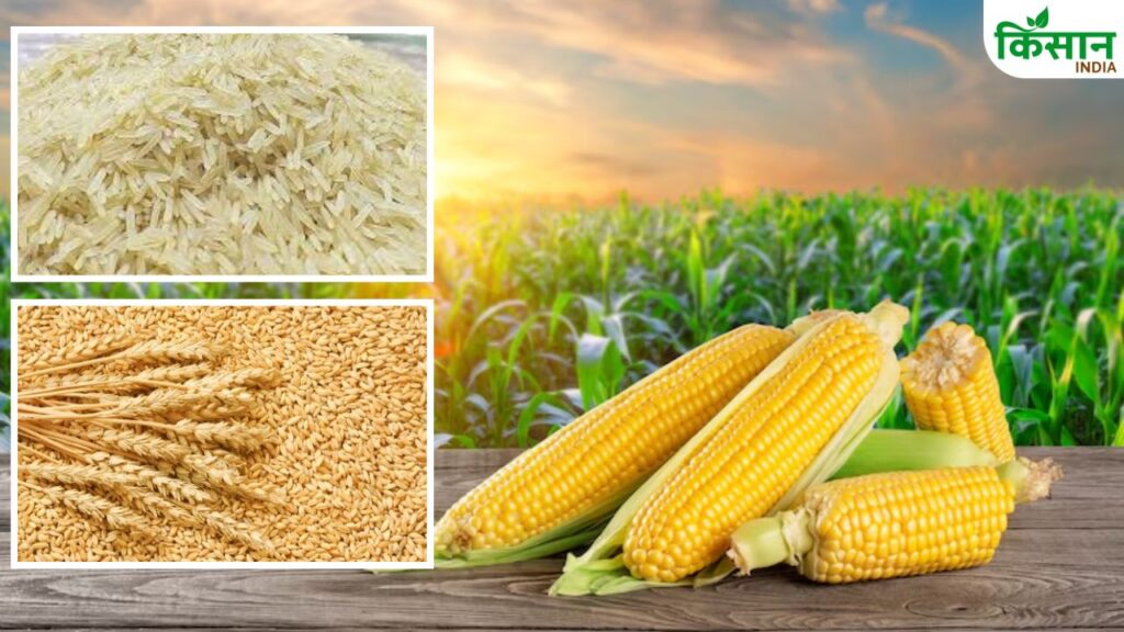 Bihar Agriculture