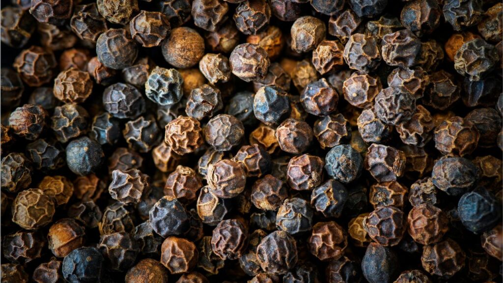 कई बार हम हेल्दी खाना तो खाते हैं लेकिन शरीर उसे पूरी तरह से अवशोषित नहीं कर पाता. काली मिर्च ऐसे पोषक तत्वों जैसे विटामिन A, C, B-कॉम्प्लेक्स, सेलेनियम और बीटा-कैरोटीन के अवशोषण को बढ़ाती है. कई बार हम हेल्दी खाना तो खाते हैं लेकिन शरीर उसे पूरी तरह से अवशोषित नहीं कर पाता. काली मिर्च ऐसे पोषक तत्वों जैसे विटामिन A, C, B-कॉम्प्लेक्स, सेलेनियम और बीटा-कैरोटीन के अवशोषण को बढ़ाती है.