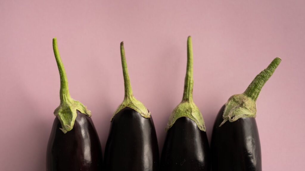 बैंगन वैज्ञानिक दृष्टिकोण से एक फल की श्रेणी में आता है क्योंकि यह पौधे के फूल की ओवरी (अंडाशय) से बनता है. बॉटनी में फल वही चीज मानी जाती है जो फूल के बाद विकसित हो और जिसमें बीज हों. बैंगन में भी बीज होते हैं, इसलिए इसे फल कहा जाता है. बैंगन वैज्ञानिक दृष्टिकोण से एक फल की श्रेणी में आता है क्योंकि यह पौधे के फूल की ओवरी (अंडाशय) से बनता है. बॉटनी में फल वही चीज मानी जाती है जो फूल के बाद विकसित हो और जिसमें बीज हों. बैंगन में भी बीज होते हैं, इसलिए इसे फल कहा जाता है.