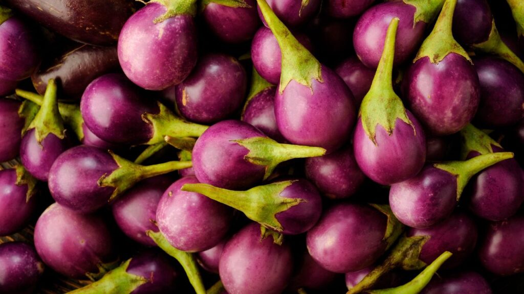 हम जो भी चीज नमक-हल्दी डालकर पका लेते हैं, उसे किचन में सब्जी कह देते हैं. बैंगन का भरता चाहे कितना भी स्वादिष्ट हो, वो हमारे लिए सब्जी ही रहती है. जबकि विज्ञान का क्लासिफिकेशन इस बात पर आधारित है कि वो किस हिस्से से आई है, बीज हैं या नहीं और कैसे विकसित हुई है. हम जो भी चीज नमक-हल्दी डालकर पका लेते हैं, उसे किचन में सब्जी कह देते हैं. बैंगन का भरता चाहे कितना भी स्वादिष्ट हो, वो हमारे लिए सब्जी ही रहती है. जबकि विज्ञान का क्लासिफिकेशन इस बात पर आधारित है कि वो किस हिस्से से आई है, बीज हैं या नहीं और कैसे विकसित हुई है.