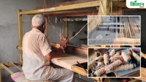 छत्तीसगढ़ में भिंडी के रेशे से कपड़ा बना रहे किसान, पीएम मोदी को दे चुके केले से बनी जैकेट