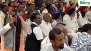 धान 1509 वैरायटी में रोग ने परेशानी बढ़ाई, शिवराज बोले- उन्नत किस्म विकसित करें वैज्ञानिक