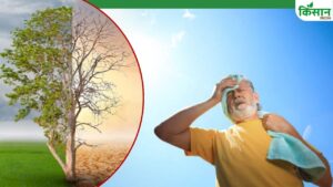क्लाइमेट चेंज ने राज्यों में तापमान बढ़ाया.. 30 साल में हर दशक बढ़ी गर्मी, पहाड़ी इलाके भी तपे