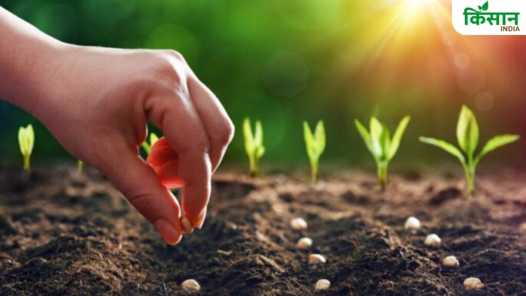 Seed Sowing Method