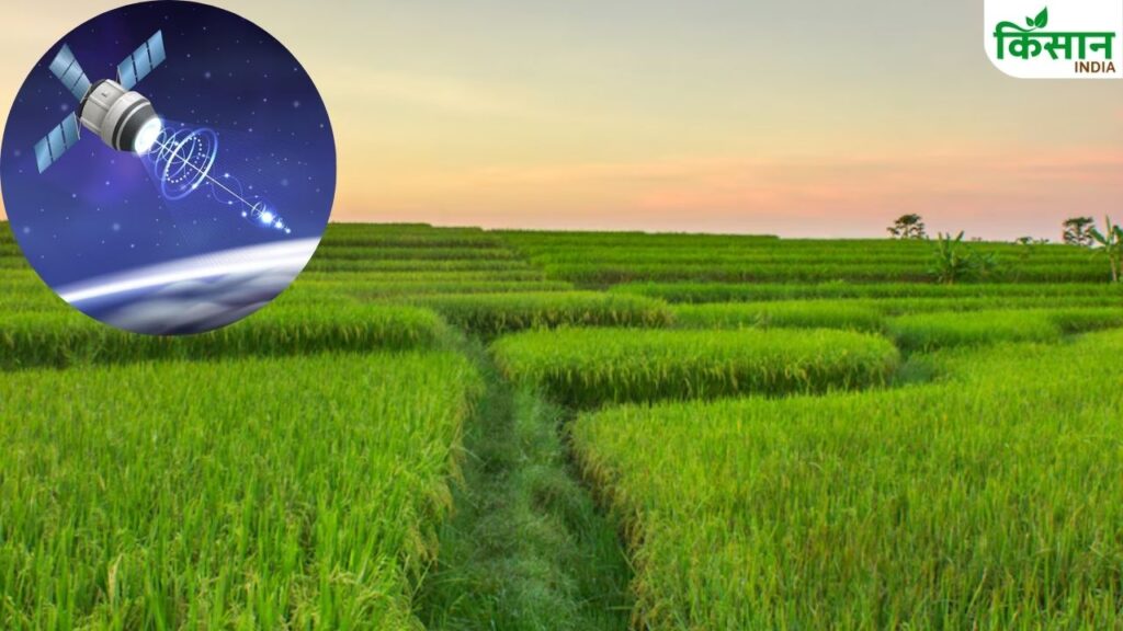Digital survey of crops