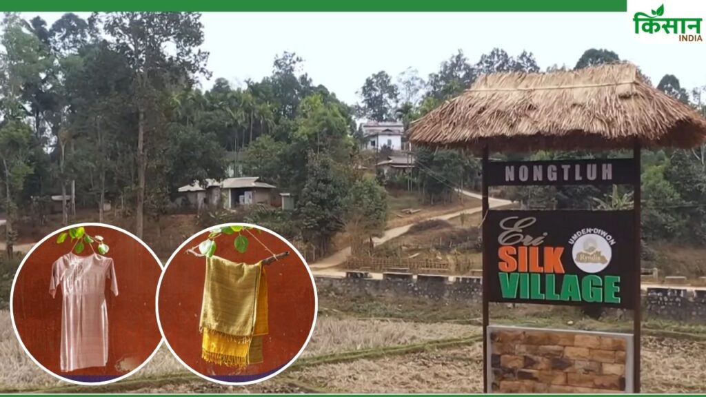 Eri Silk Meghalaya