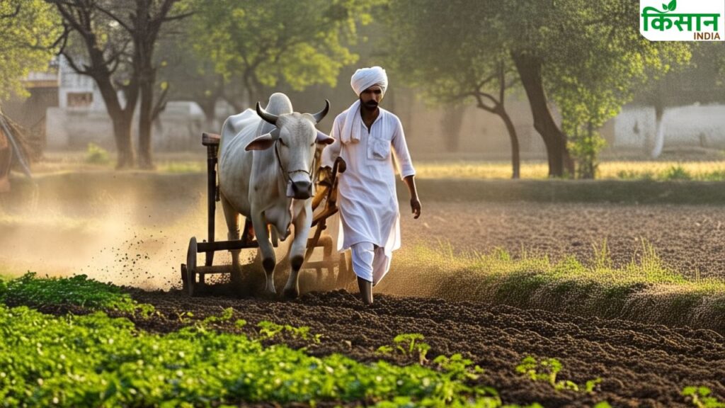 Uttar Pradesh Set for Bumper Kharif Harvest in 2025 as Rice and Bajra Acreage Surges on Favorable Weather