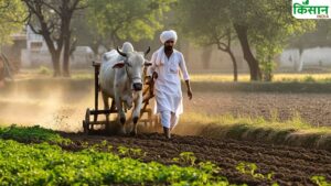 धान-बाजरा से लेकर दलहन तक, उत्तर प्रदेश में खरीफ सीजन में बंपर पैदावार की उम्मीद, जानें आंकड़े