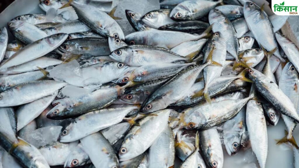 Fisheries