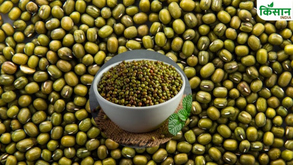 approval for moong purchase