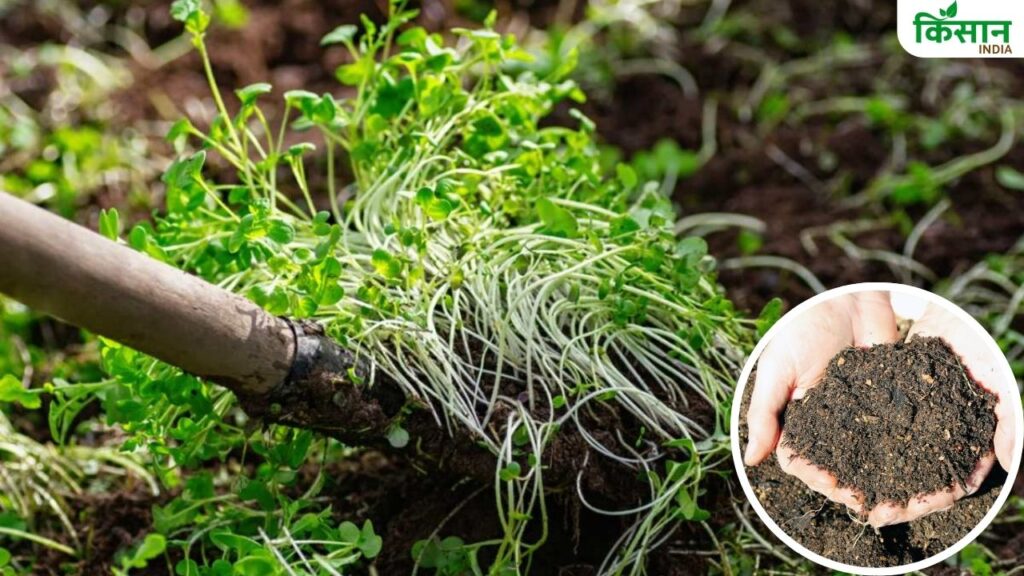 Organic Farming