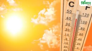 Health Tips: हीटवेव का रेड अलर्ट, सावधानी बरतें नहीं तो खतरे में पड़ सकती है सेहत