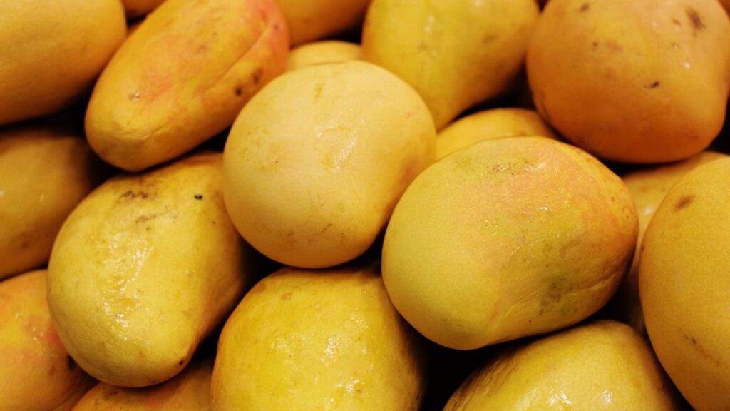 mango exports mango exports