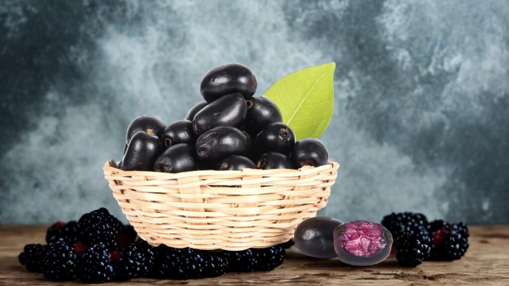 अगर आप डायबिटीज से परेशान हैं, तो जामुन के बीज किसी आयुर्वेदिक औषधि से कम नहीं हैं. इनमें ऐसे तत्व पाए जाते हैं, जो ब्लड शुगर लेवल को नैचुरली नियंत्रित करने में मदद करते हैं. अगर आप डायबिटीज से परेशान हैं, तो जामुन के बीज किसी आयुर्वेदिक औषधि से कम नहीं हैं. इनमें ऐसे तत्व पाए जाते हैं, जो ब्लड शुगर लेवल को नैचुरली नियंत्रित करने में मदद करते हैं.