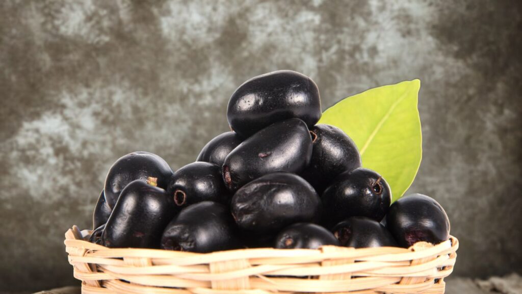 जामुन के बीजों में पाया जाने वाला पोटेशियम दिल की धड़कनों को सामान्य बनाए रखने में मदद करता है. यह हाई ब्लड प्रेशर को कंट्रोल करता है, जिससे हार्ट अटैक का खतरा भी कम हो सकता है. जामुन के बीजों में पाया जाने वाला पोटेशियम दिल की धड़कनों को सामान्य बनाए रखने में मदद करता है. यह हाई ब्लड प्रेशर को कंट्रोल करता है, जिससे हार्ट अटैक का खतरा भी कम हो सकता है.