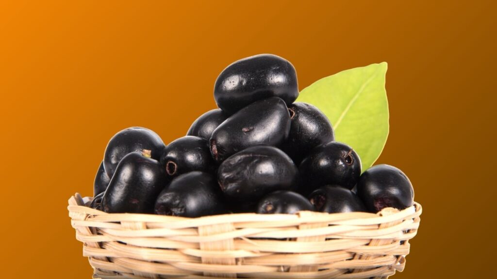 जामुन का सेवन वजन घटाने वालों के लिए बेहतरीन है. इसमें कैलोरी कम और फाइबर अधिक होता है, जिससे लंबे समय तक पेट भरा रहता है और मेटाबॉलिज्म तेज होता है.