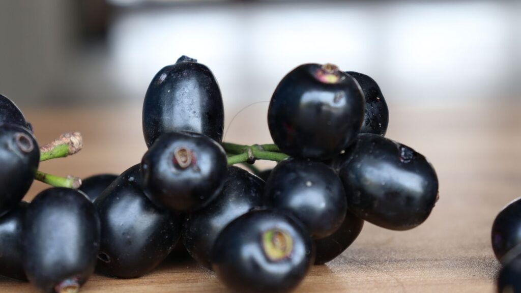 जामुन में मौजूद आयरन और विटामिन C इम्यून सिस्टम को मजबूत करते हैं. यह शरीर को संक्रमण से लड़ने में सक्षम बनाता है और ऊर्जा से भरपूर बनाए रखता है.