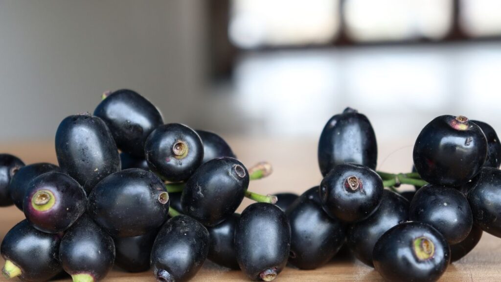 विटामिन C, विटामिन A और एंटीऑक्सीडेंट्स से भरपूर जामुन स्किन को डिटॉक्स करता है. इसका रस लगाने से दाग-धब्बे, पिंपल्स और डार्क स्पॉट्स कम होते हैं और स्किन ग्लो करती है.