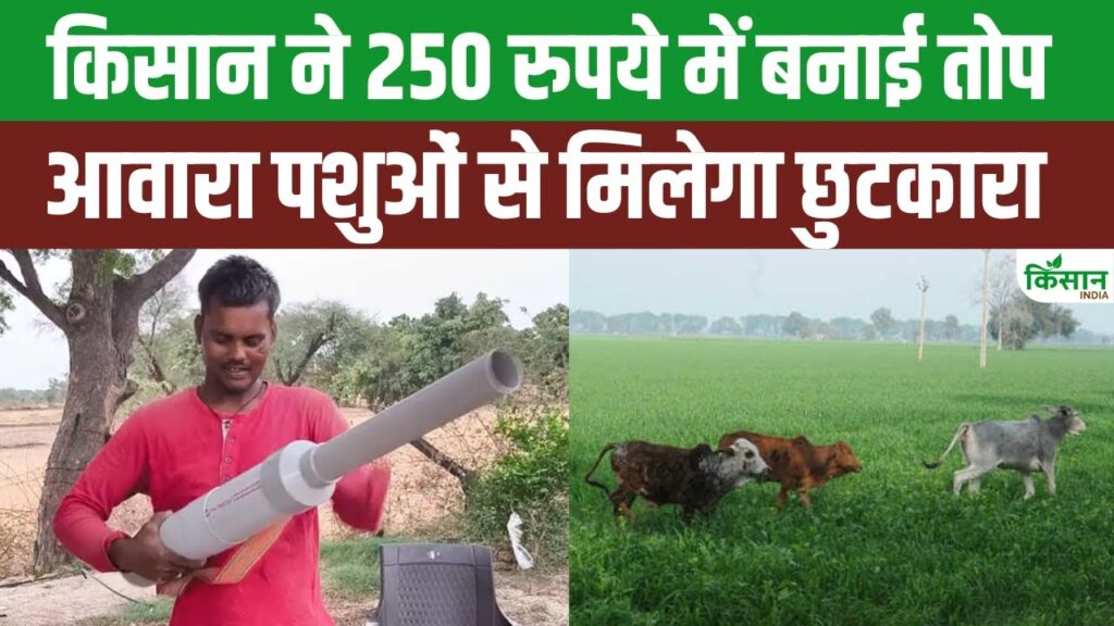 Jhansi News