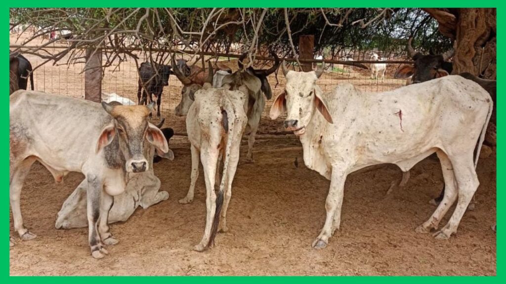 Joo Bhagane ka Tarika