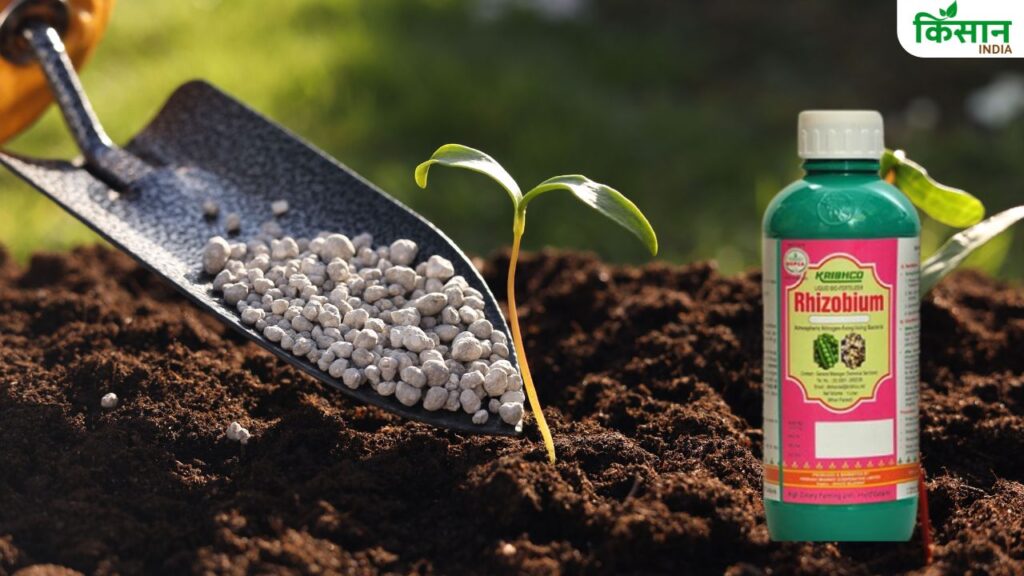 fertilizer