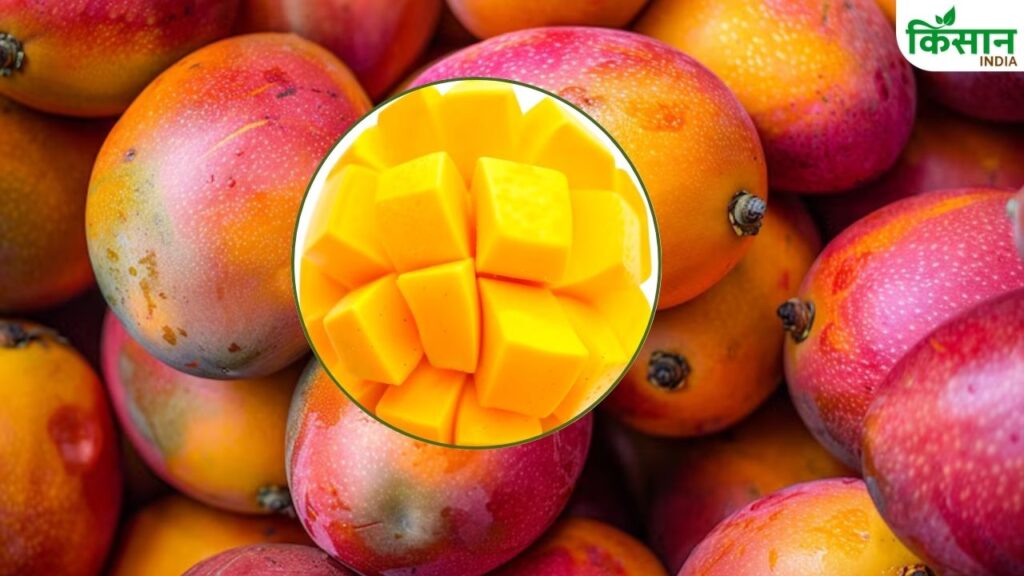 Mango Price