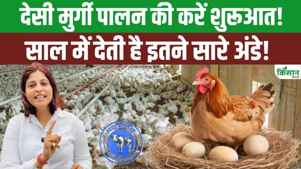Poultry Farming