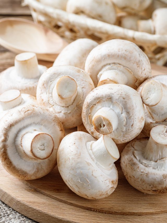 घर पर कमरे में कर सकते हैं मशरूम की खेती, जानें कैसे!