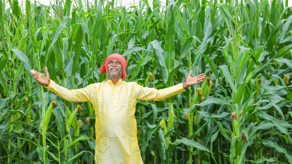 अब सिर्फ पीएम किसान योजना में नाम जुड़वाना काफी नहीं है. सरकार ने अब Farmer Registry को भी अनिवार्य कर दिया है. इसे आप राज्य सरकार के किसान पोर्टल या फिर CSC सेंटर पर जाकर पूरा कर सकते हैं. इसके बिना आपकी किस्त अटक सकती है.