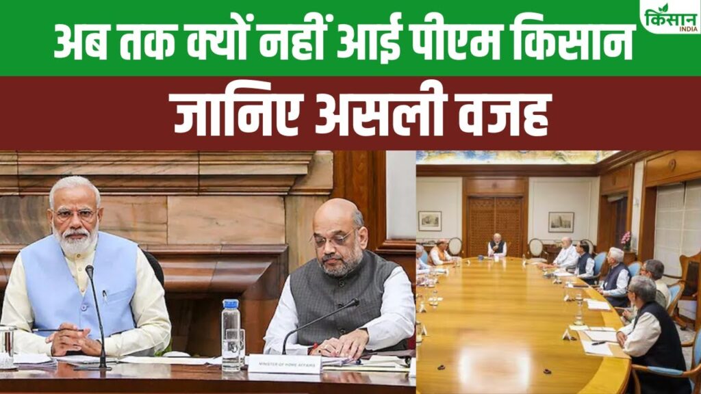Government Scheme