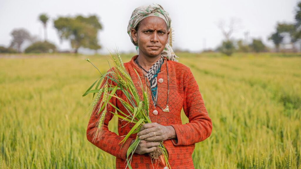 अगर आपने अभी तक जरूरी प्रक्रियाएं जैसे eKYC, बैंक डिटेल्स सुधार या Farmer Registry पूरी नहीं की है, तो 31 जुलाई 2025 से पहले यह सब कर लें. वरना न सिर्फ इस बार की किस्त बल्कि आगे आने वाली किस्तों पर भी असर पड़ सकता है.