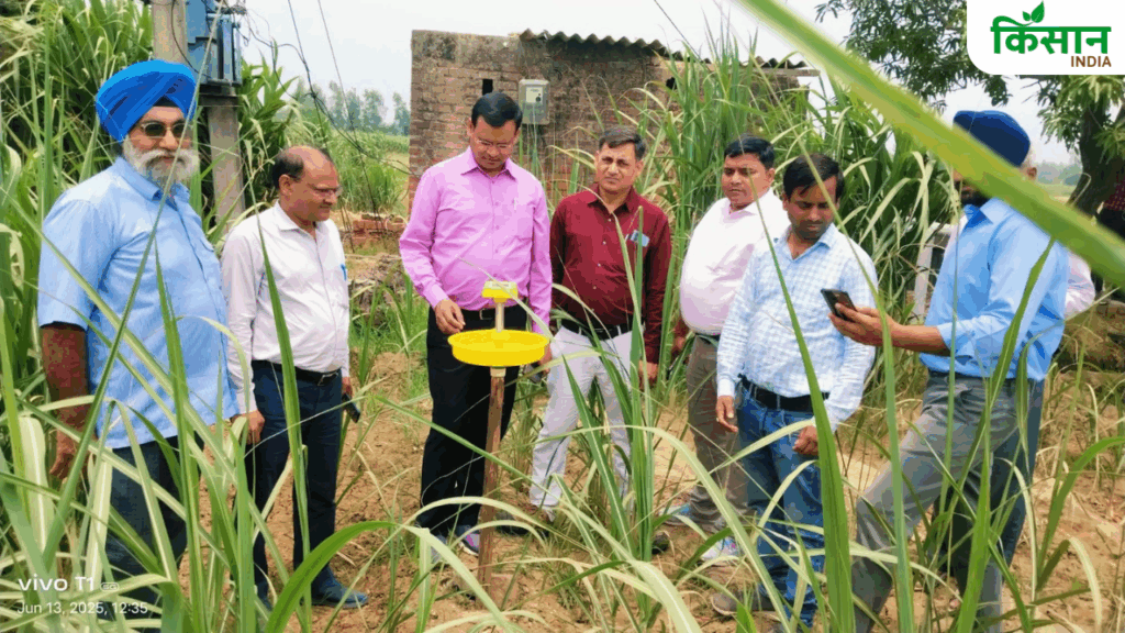Smart Farming