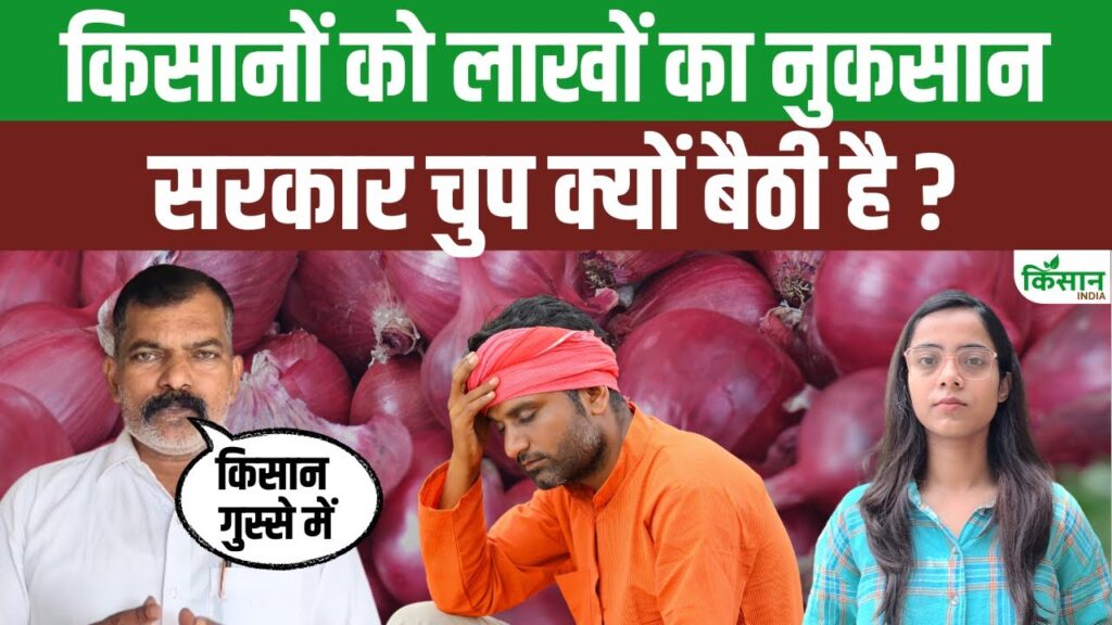 Onion Farming