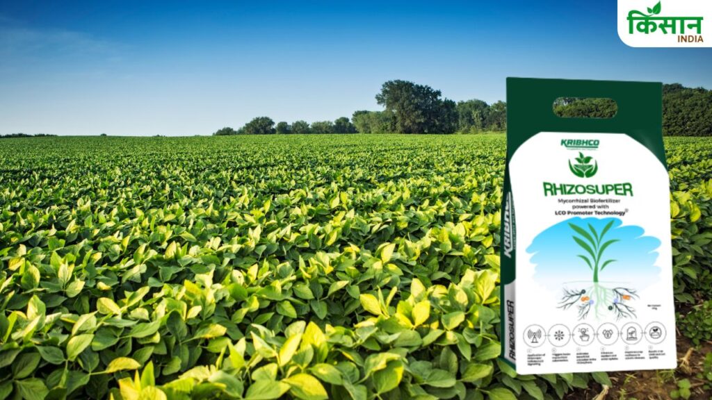 Organic Fertilizer