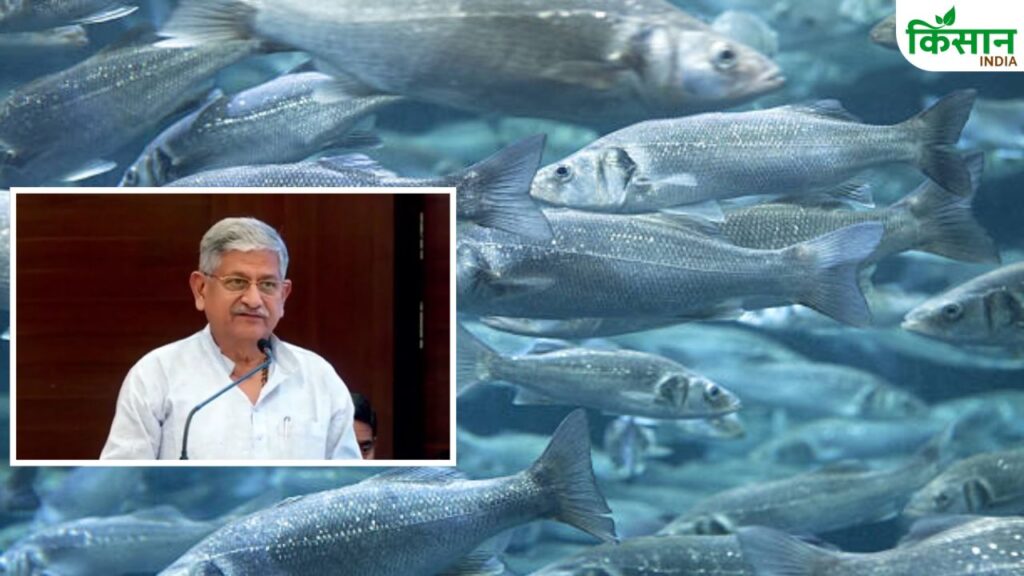 Fish Farming Growth in India