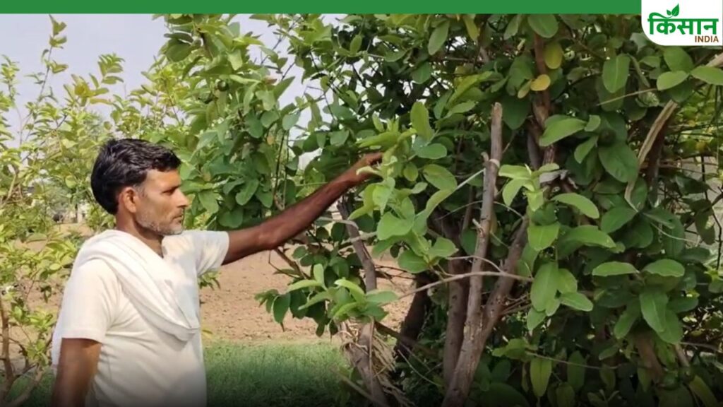 Successful Farmer Anoop Singh Dausa