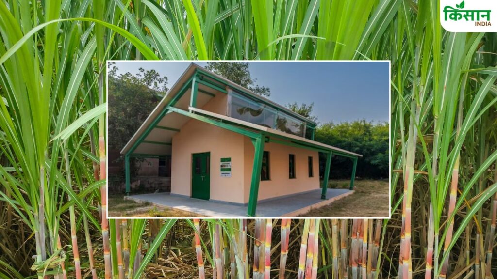 Sugarcane Waste Usage
