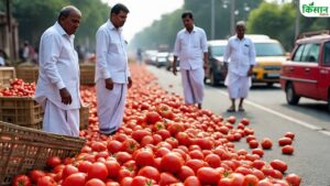 टमाटर के भाव में गिरावट, 8 रुपये किलो से भी कम हुआ मंडी रेट.. किसानों ने सड़क पर फेंकी उपज