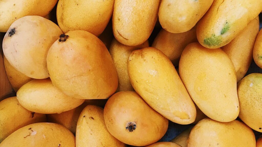 समान आकार के दो आमों को हाथ में लेकर तौलें. जो आम हाथ में भारी लगे, उसमें रस ज्यादा होता है. यह एक आसान लेकिन बेहद कारगर तरीका है यह पहचानने का कि आम अंदर से कितना जूसी है. समान आकार के दो आमों को हाथ में लेकर तौलें. जो आम हाथ में भारी लगे, उसमें रस ज्यादा होता है. यह एक आसान लेकिन बेहद कारगर तरीका है यह पहचानने का कि आम अंदर से कितना जूसी है.