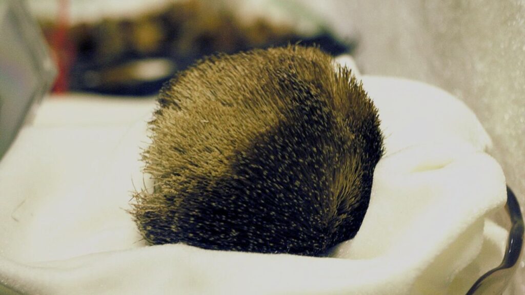 कस्तूरी की कीमत उसकी दुर्लभता और सुगंध की गुणवत्ता के कारण बेहद ऊंची होती है. रिपोर्ट्स के अनुसार, कस्तूरी पाउडर की कीमत ₹30,000 प्रति किलो तक हो सकती है, जबकि कस्तूरी तेल ₹10,000 प्रति 10ml बिकता है. यहां तक कि 20 ग्राम शुद्ध कस्तूरी की कीमत ₹2 लाख तक बताई जाती है जो सोने से भी कहीं ज्यादा महंगी है.