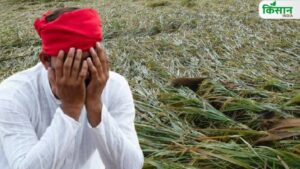 14 लाख किसानों के लिए 1033 करोड़ मुआवजा मंजूर, बाढ़ पीड़ितों के खाते में डालने की घोषणा 14 लाख किसानों के लिए 1033 करोड़ मुआवजा मंजूर, बाढ़ पीड़ितों के खाते में डालने की घोषणा