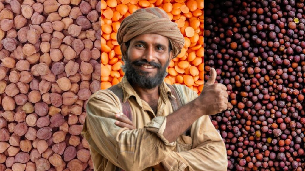 Pulses cultivation