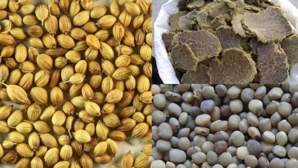coriander, cottonseed oil cake, guar gum price June 2025